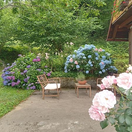 Holiday Home Vesna Brod na Kupi Экстерьер фото