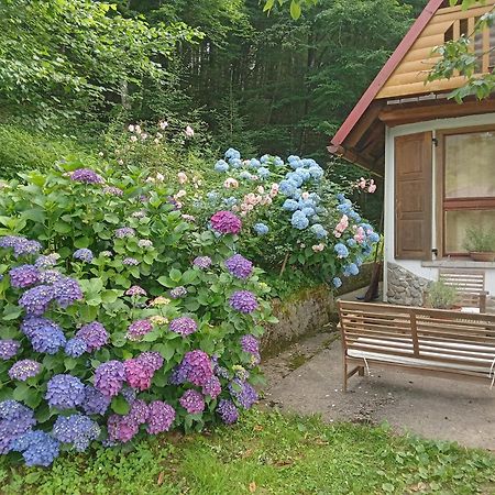 Holiday Home Vesna Brod na Kupi Экстерьер фото
