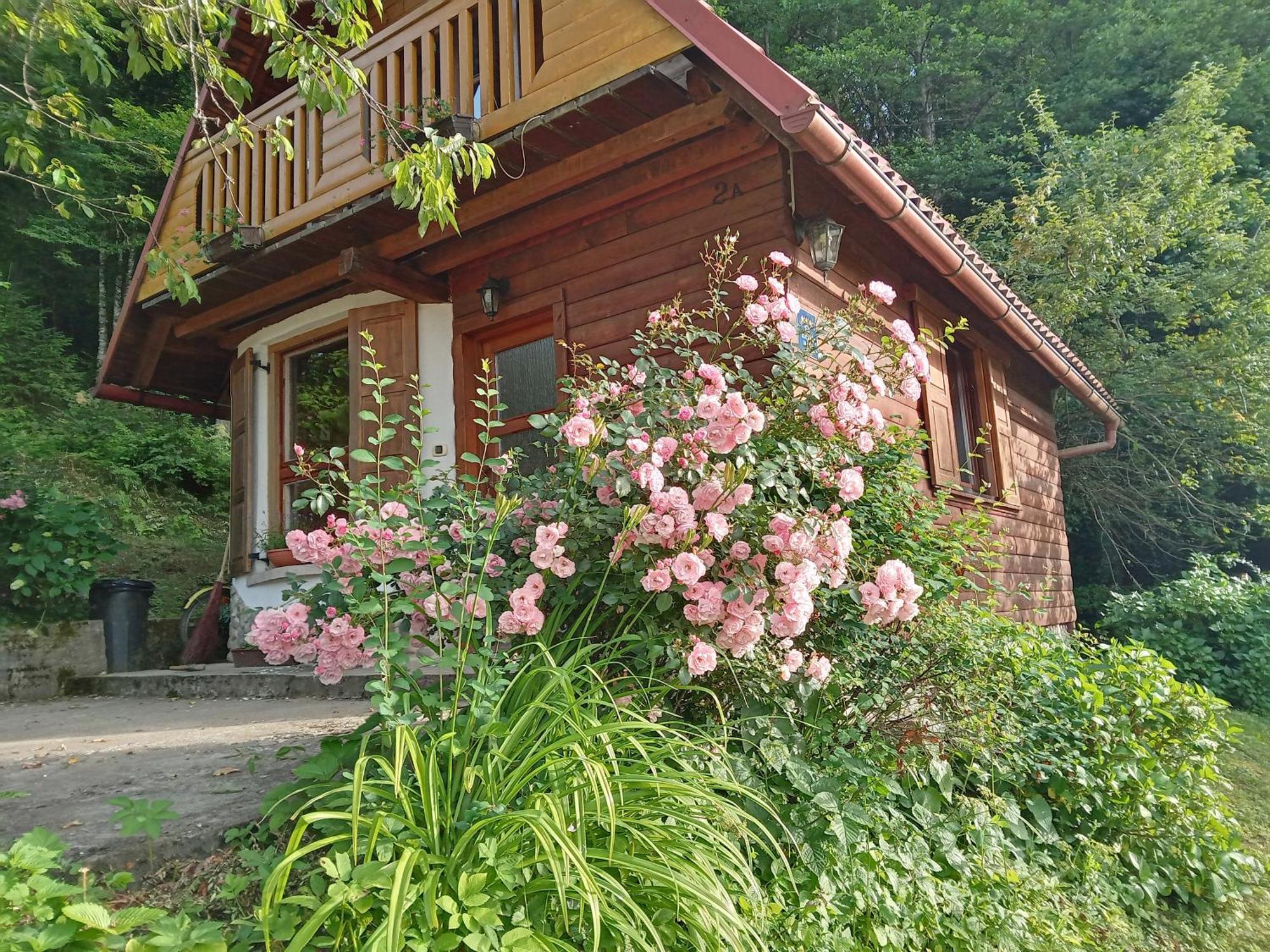 Holiday Home Vesna Brod na Kupi Экстерьер фото
