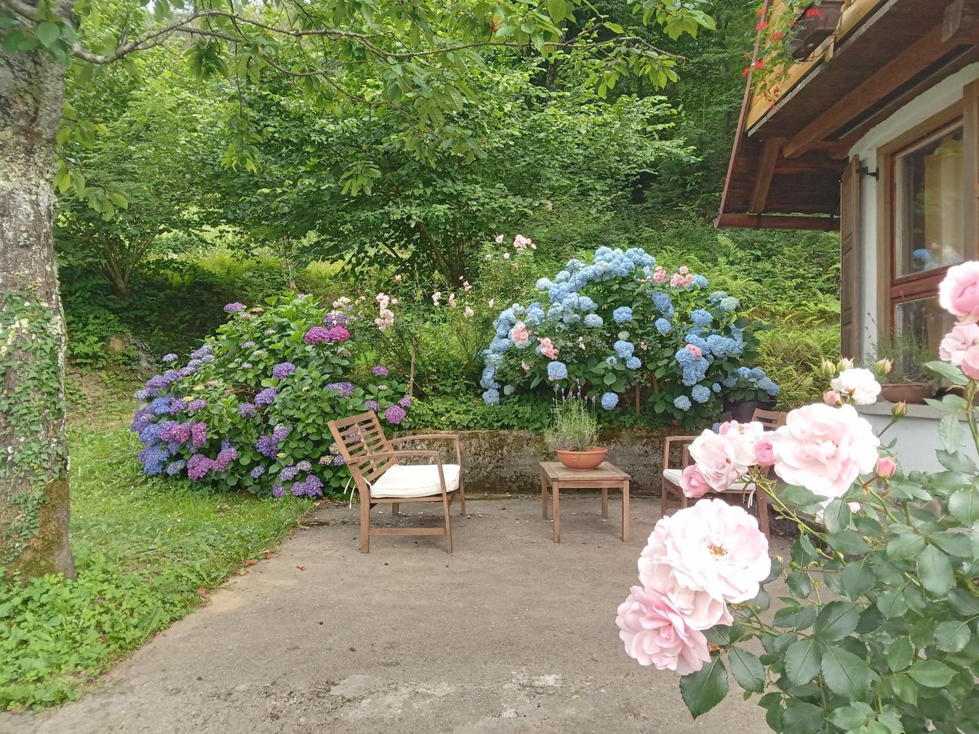 Holiday Home Vesna Brod na Kupi Экстерьер фото