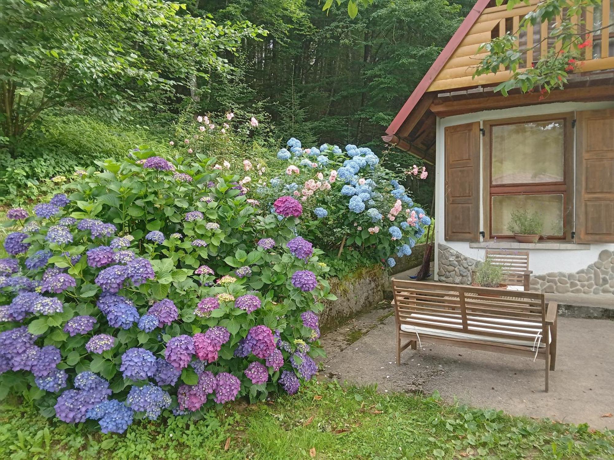 Holiday Home Vesna Brod na Kupi Экстерьер фото