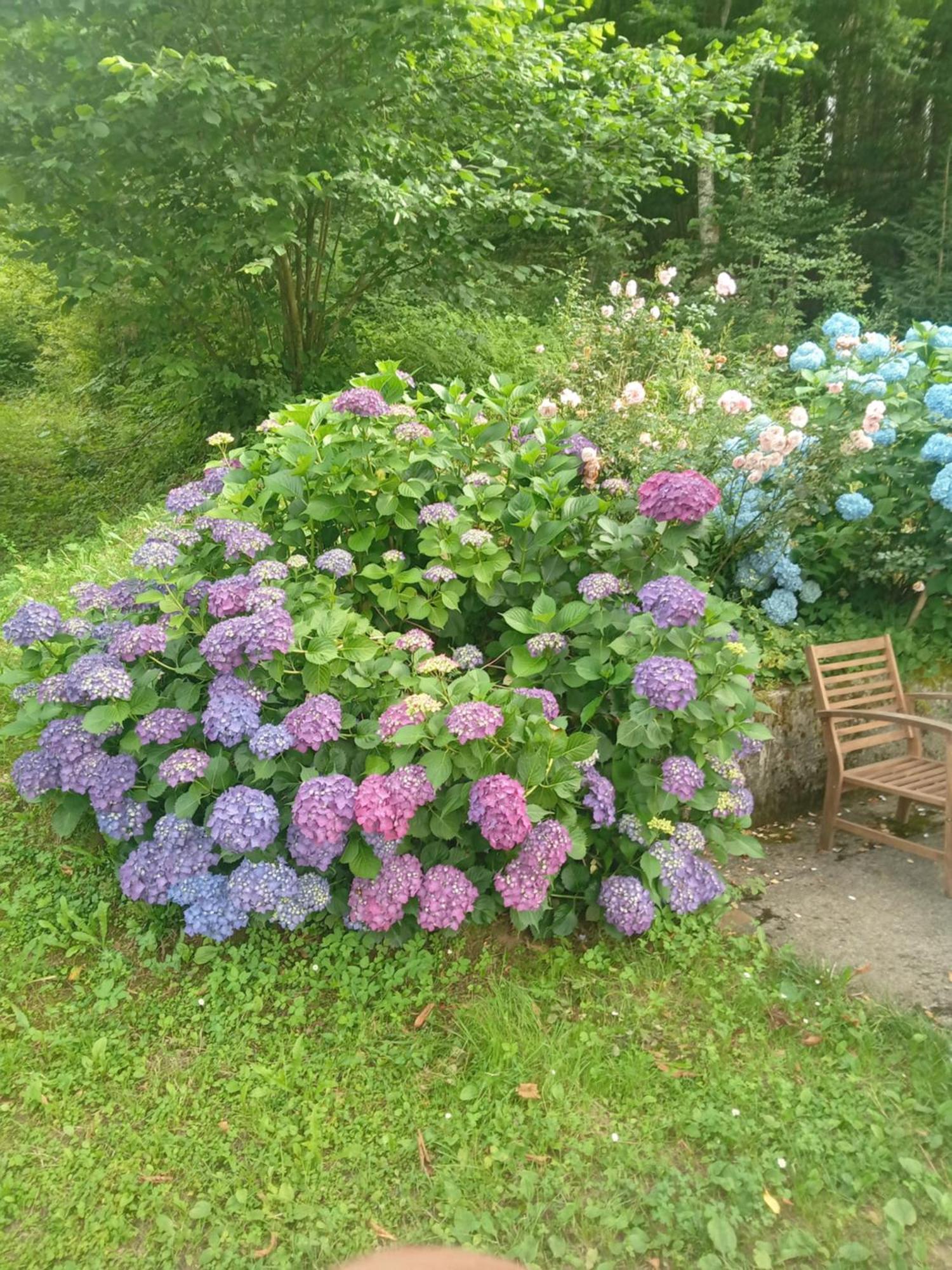 Holiday Home Vesna Brod na Kupi Экстерьер фото