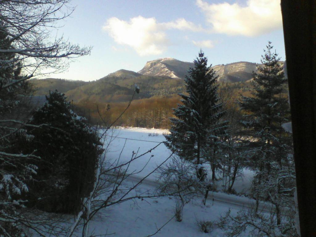 Holiday Home Vesna Brod na Kupi Экстерьер фото