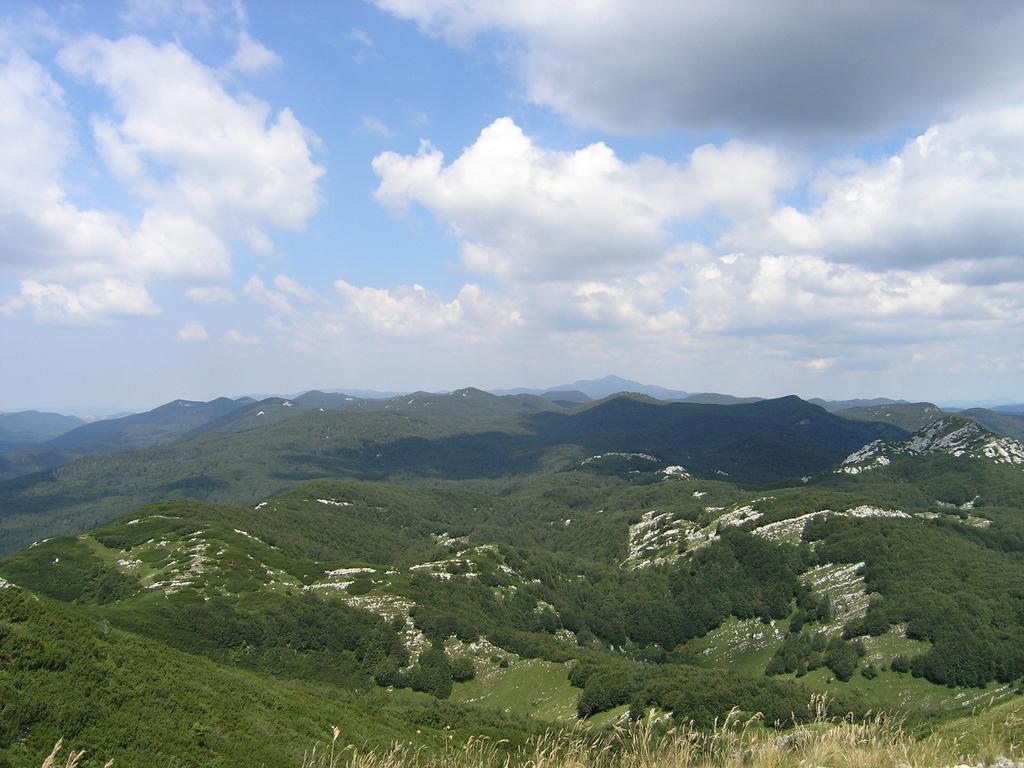 Holiday Home Vesna Brod na Kupi Экстерьер фото