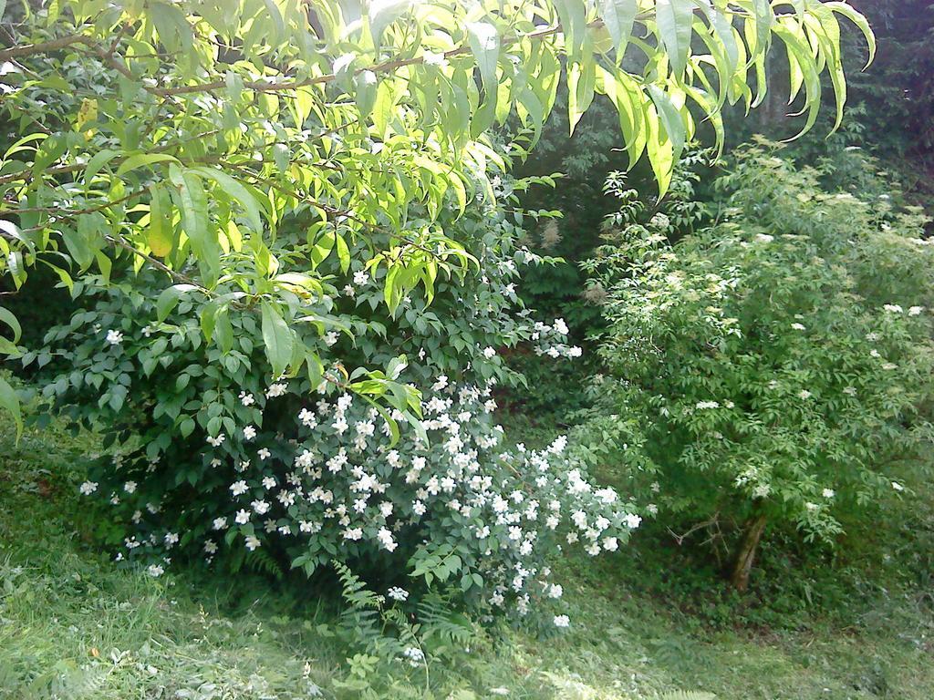 Holiday Home Vesna Brod na Kupi Номер фото